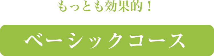 ベーシックコース